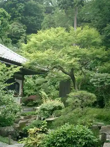 長谷寺のその他建物