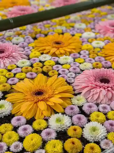 高円寺氷川神社(東京都)