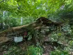 迦葉山龍華院弥勒護国禅寺（弥勒寺）奥の院(群馬県)