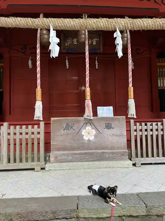 富士山東口本宮 冨士浅間神社の本殿・本堂