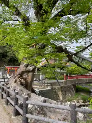 柏原大神宮(兵庫県)