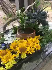 札幌護國神社の手水