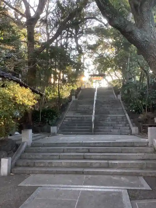 蝮ヶ池八幡宮の自然