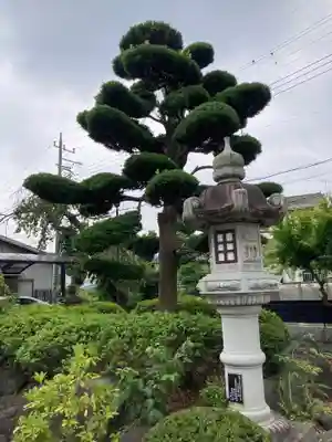圓隆寺のその他建物