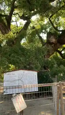 善通寺(香川県)