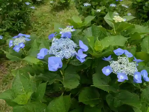 塩船観音寺の庭園