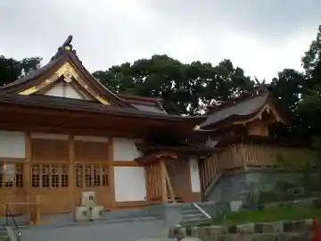 高宮八幡宮の本殿・本堂