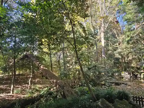 武蔵一宮氷川神社(埼玉県)