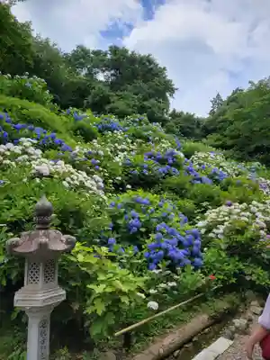 観音寺(京都府)
