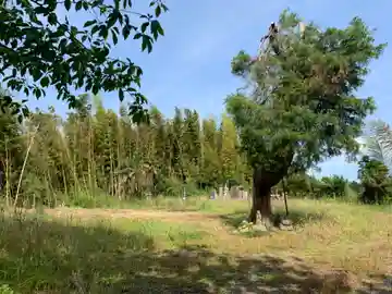 法華寺(千葉県)
