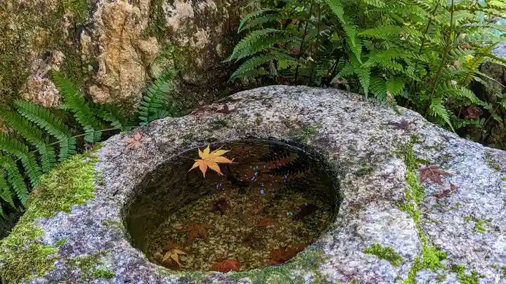 くろ谷 金戒光明寺(京都府)