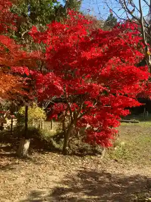 五所駒瀧神社(茨城県)