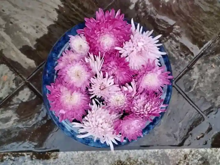 立志神社の手水舎