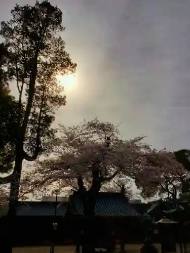 妙法寺(東京都)