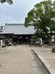 大樹寺（松安院大樹寺）(愛知県)