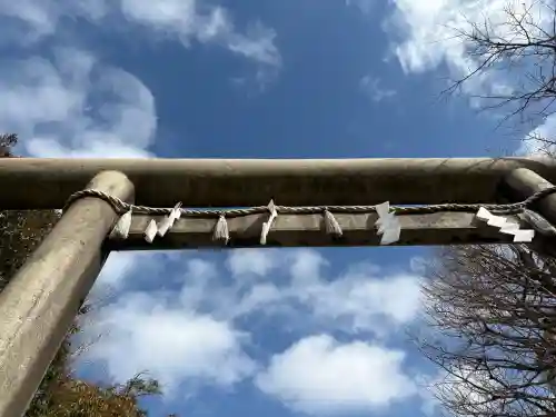 浅草神社の{uncategorized: "未分類", other: "その他", undefined: "問題あり", building: "その他建物", grave: "お墓", sacred_gate: "鳥居", guardian: "狛犬", statue: "像", buddha: "仏像", history: "歴史", nature: "自然", garden: "庭園", animal: "動物", pagoda: "塔", temizu: "手水舎", mountain_gate: "山門・神門", sanctuary: "本殿・本堂", subordinate: "末社・摂社", art: "芸術", scenery: "景色", jizo: "地蔵", ema: "絵馬", goshuin: "御朱印", omikuji: "おみくじ", items: "授与品その他", amulet: "お守り", goshuincho: "御朱印帳", eats: "食事", festival: "お祭り", votive_dance: "神楽", shichigosan: "七五三参", wedding: "結婚式", experience: "体験その他", initially: "初詣", around: "周辺", anti_infection: "感染症対策"}