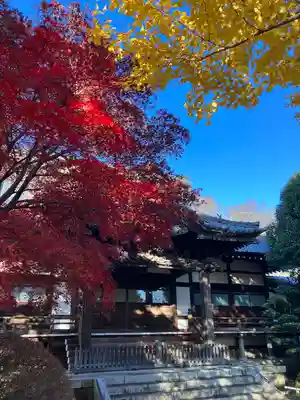 高円寺(東京都)