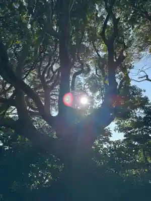 酒列磯前神社(茨城県)