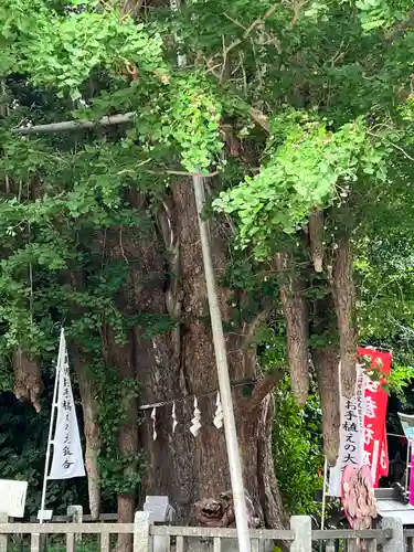 海南神社の自然