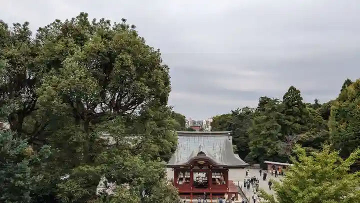 鶴岡八幡宮の景色