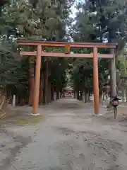 八幡神社の鳥居