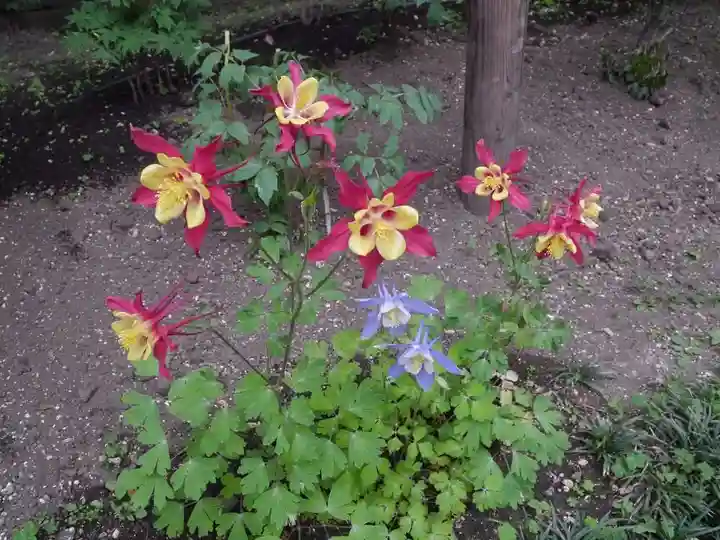 上野東照宮の自然