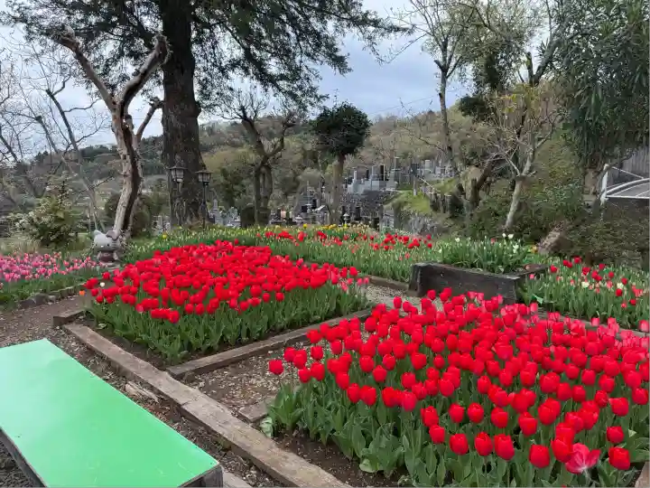 泉蔵寺(神奈川県)
