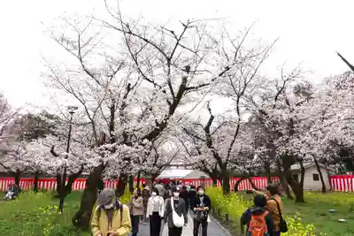 平野神社(京都府)