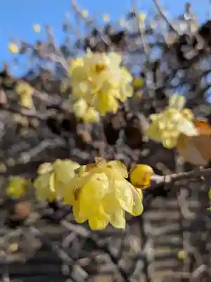福蔵院(東京都)
