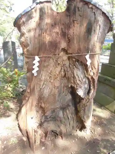 杉山神社の自然