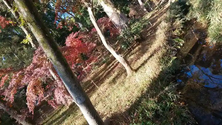 賀茂御祖神社(下鴨神社)(京都府)