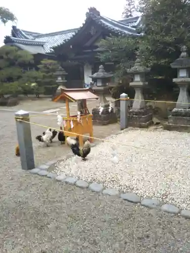 石上神宮の動物