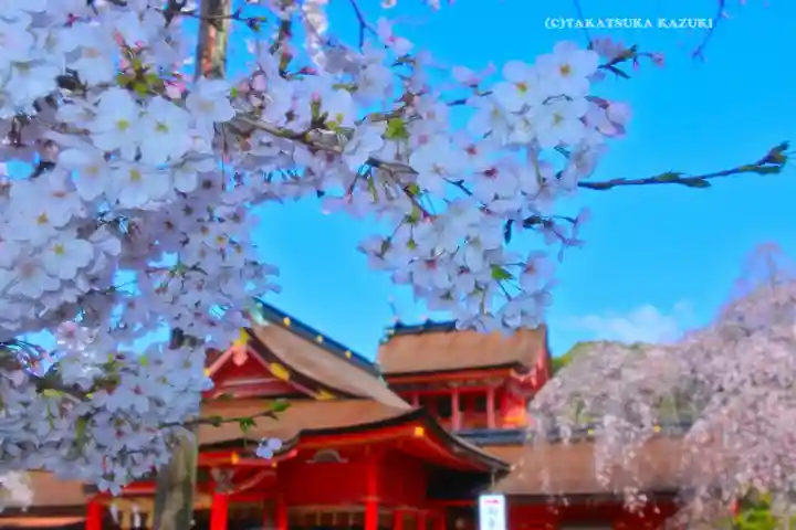 富士山本宮浅間大社(静岡県)