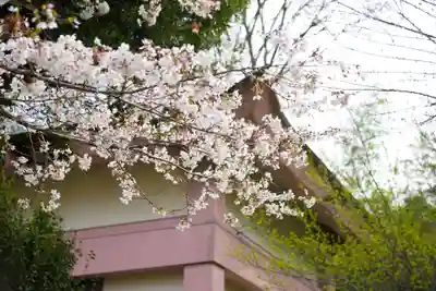 金剛寺(神奈川県)