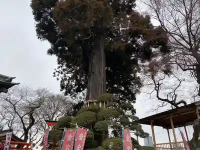 愛宕神社(宮城県)