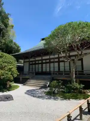 報国寺(神奈川県)