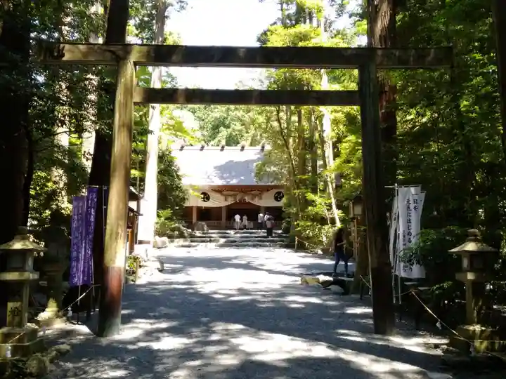椿大神社の鳥居