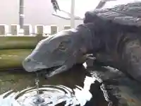 杉杜白髭神社(福井県)