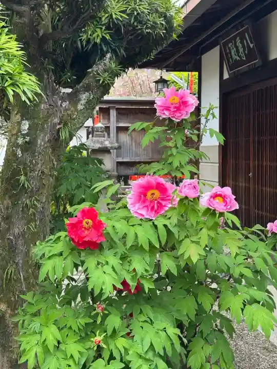 御霊神社の{uncategorized: "未分類", other: "その他", undefined: "問題あり", building: "その他建物", grave: "お墓", sacred_gate: "鳥居", guardian: "狛犬", statue: "像", buddha: "仏像", history: "歴史", nature: "自然", garden: "庭園", animal: "動物", pagoda: "塔", temizu: "手水舎", mountain_gate: "山門・神門", sanctuary: "本殿・本堂", subordinate: "末社・摂社", art: "芸術", scenery: "景色", jizo: "地蔵", ema: "絵馬", goshuin: "御朱印", omikuji: "おみくじ", items: "授与品その他", amulet: "お守り", goshuincho: "御朱印帳", eats: "食事", festival: "お祭り", votive_dance: "神楽", shichigosan: "七五三参", wedding: "結婚式", experience: "体験その他", initially: "初詣", around: "周辺", anti_infection: "感染症対策"}