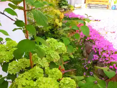 寿量山 速成寺(奈良県)