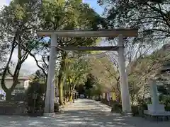 天岩戸神社の鳥居