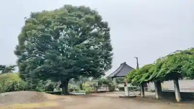 遍照寺(群馬県)