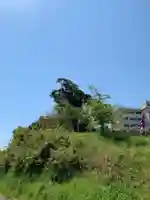 三峯神社の鳥居