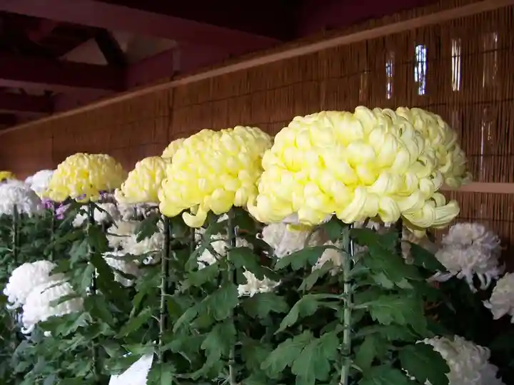 笠間稲荷神社(茨城県)