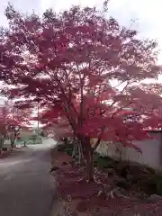 明鏡山龍雲寺の自然