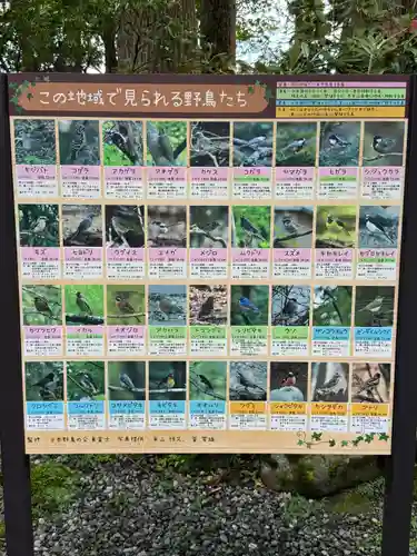 富士山東口本宮 冨士浅間神社の動物