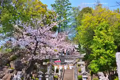 師岡熊野神社(神奈川県)