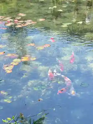 根道神社(岐阜県)