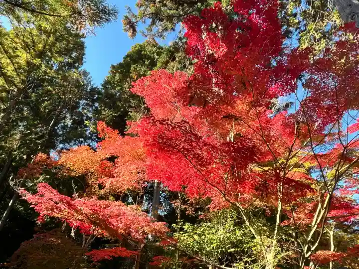 白山神社(滋賀県)