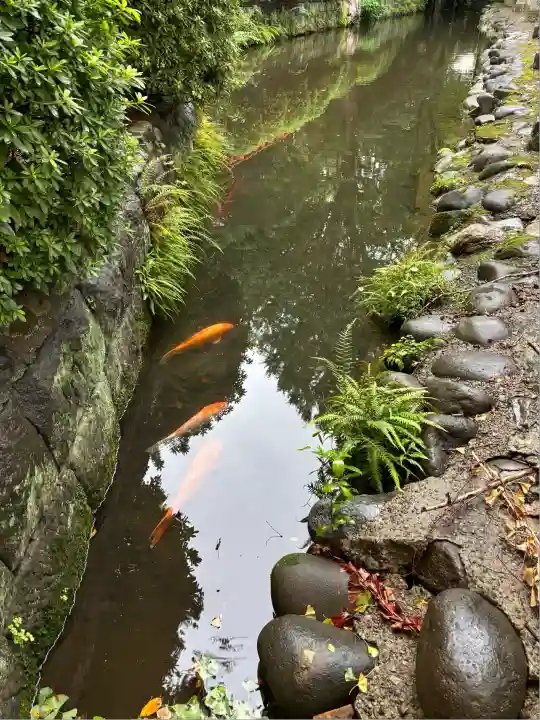 乙女稲荷神社(東京都)